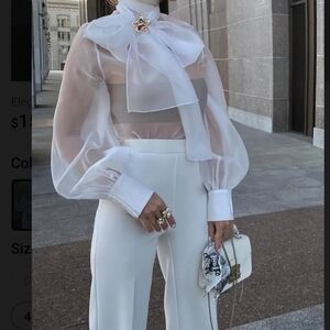 Elegant Sheer Blouse with Bow Detail